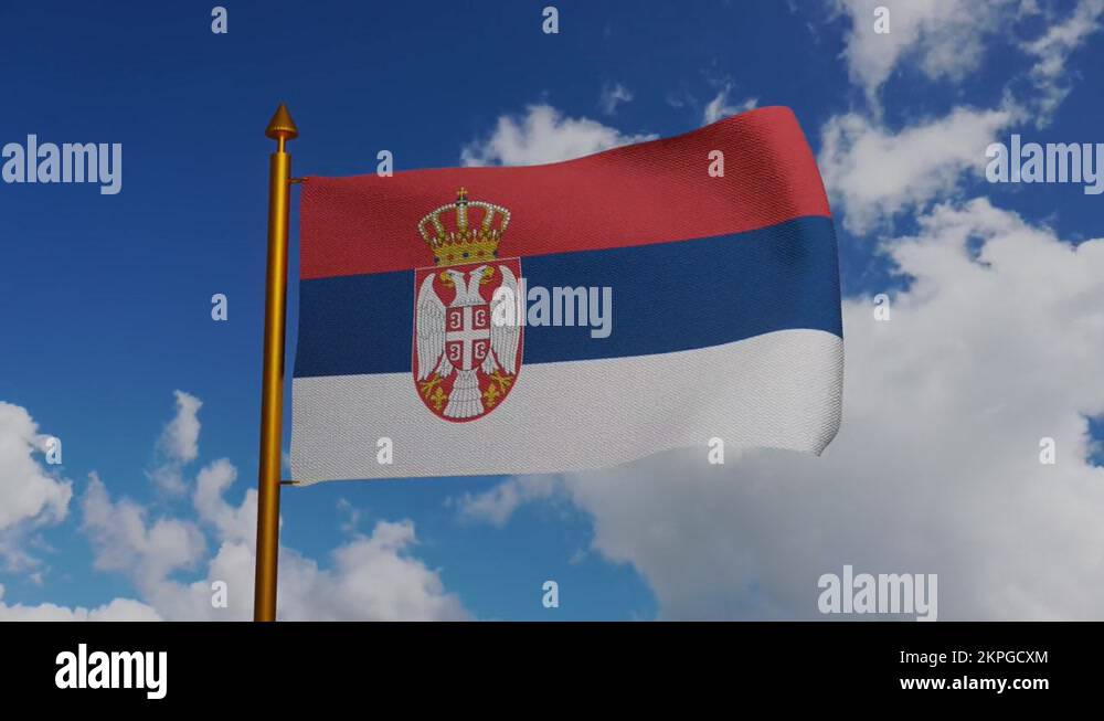Habsburg coat of arms Stock Videos & Footage HD and 4K Video Clips