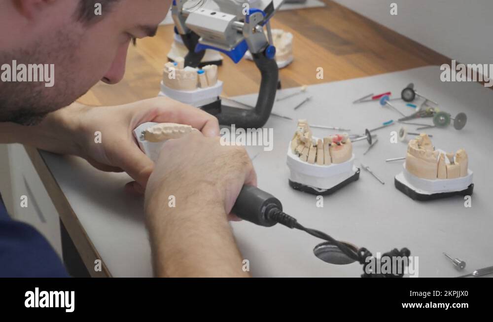 Dentistry technician is assembling multiple parts of the realistic jaw