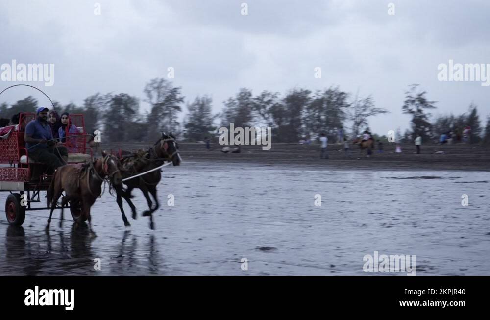 Horse chariot india Stock Videos & Footage HD and 4K Video Clips Alamy