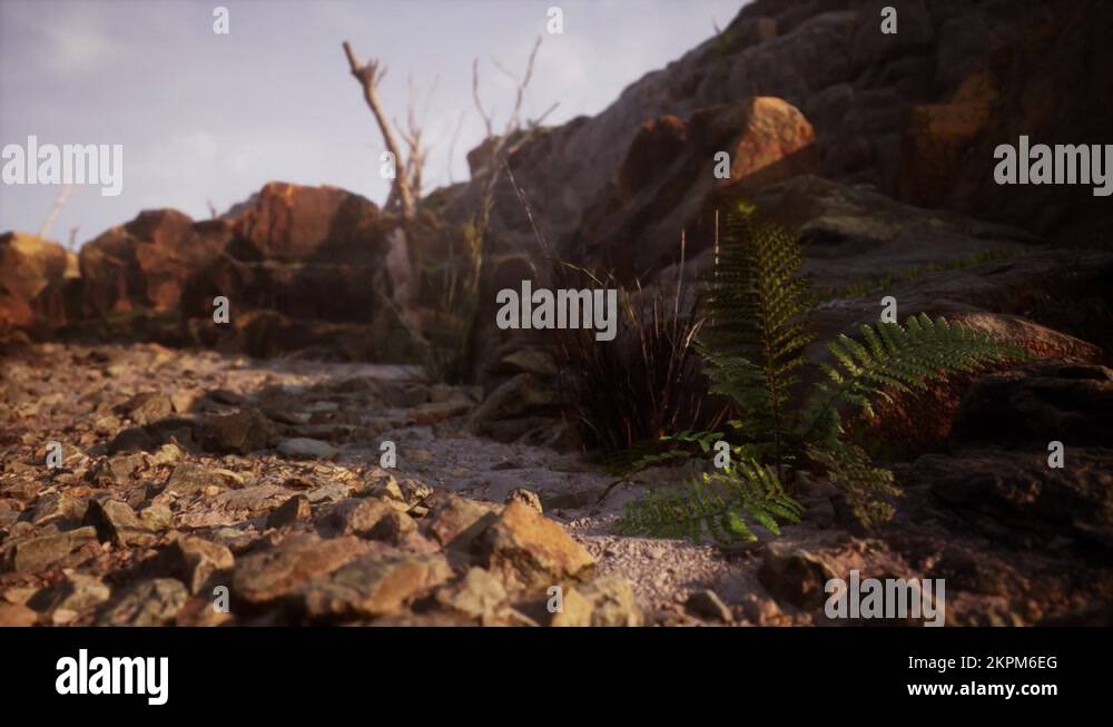 Dry Ridge Forest Dry ridge Stock Videos & Footage - HD and 4K Video Clips - Alamy