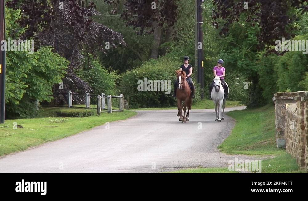 Female horse riders Stock Videos & Footage - HD and 4K Video Clips - Alamy