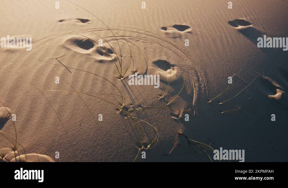 Drawing straws Stock Videos & Footage HD and 4K Video Clips Alamy