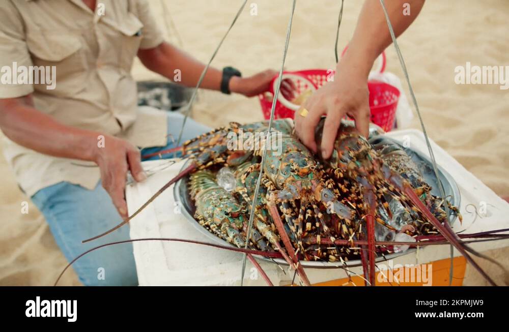 Lobster seller, fisherman on the beach sells lobsters to vacationers on