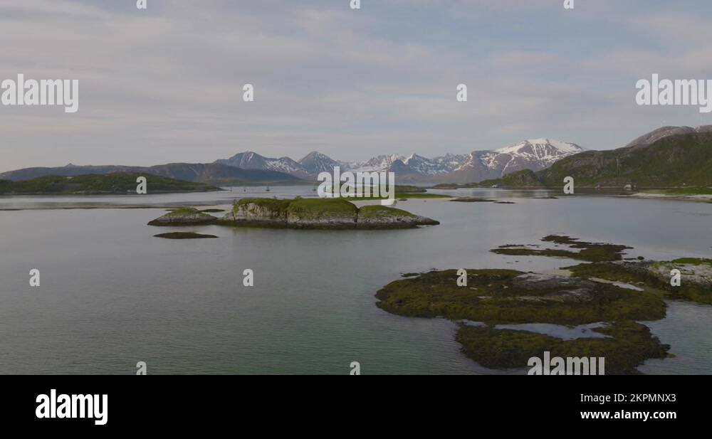 Oystercatcher habitat Stock Videos & Footage HD and 4K Video Clips