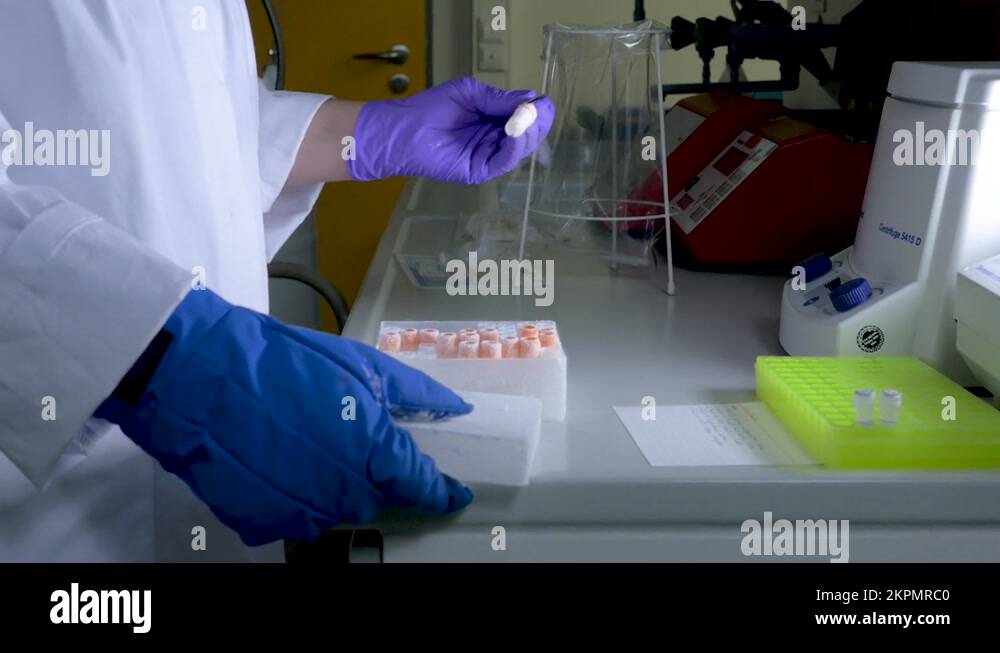 Specimen handling Stock Videos & Footage HD and 4K Video Clips Alamy