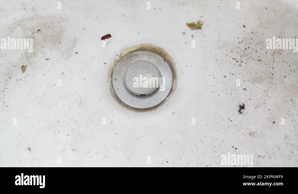 the clogged drain in the shower cabin. water with garbage Stock Video