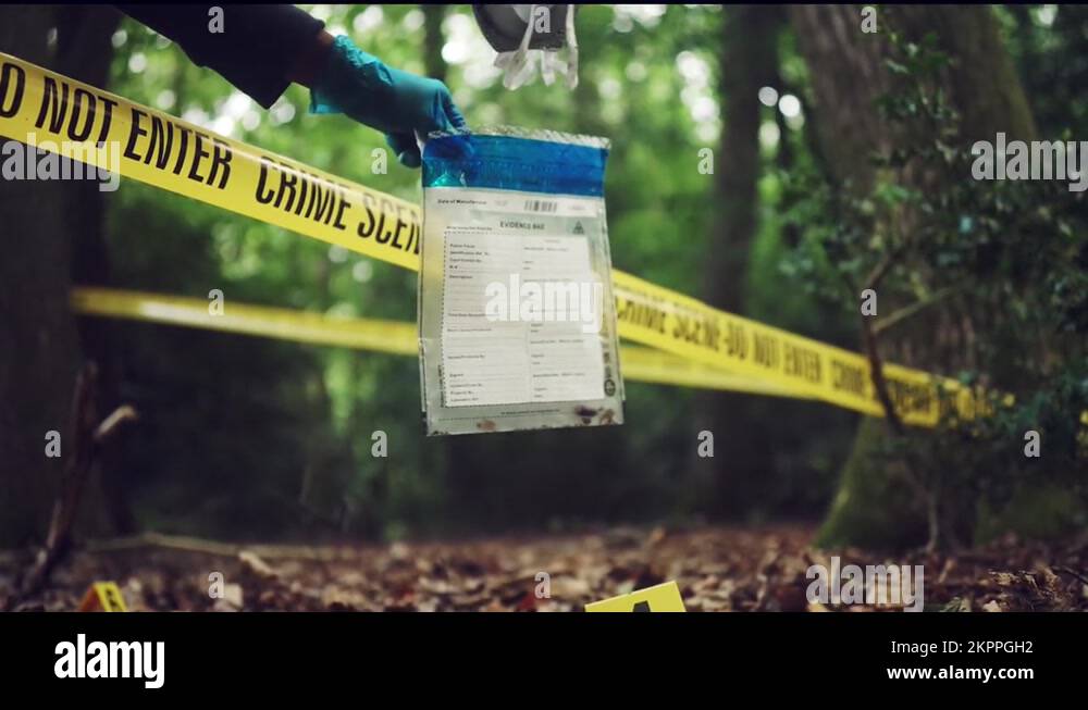 Forensic scientist working at crime scene. Collecting evidence Stock