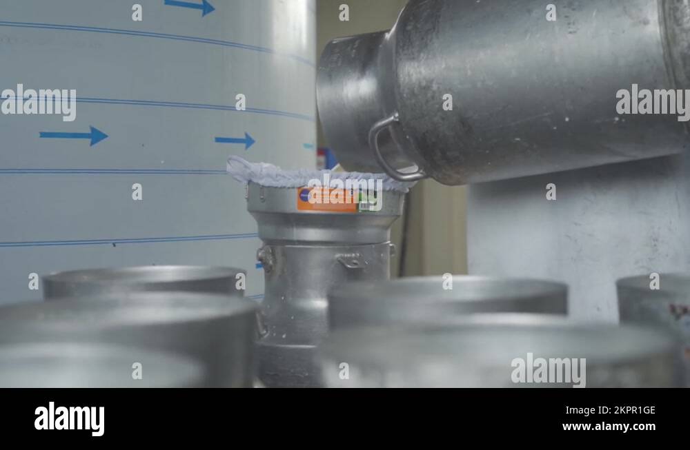 Workers pouring milk from can container for milk inside food factory