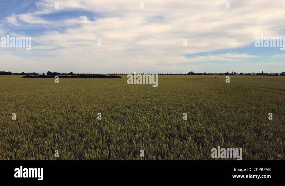 Agricultural breadbasket Stock Videos & Footage HD and 4K Video Clips