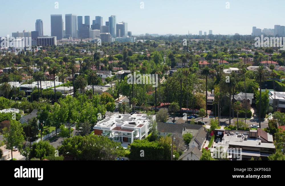 Beverly hills with palm trees Stock Videos & Footage - HD and 4K Video