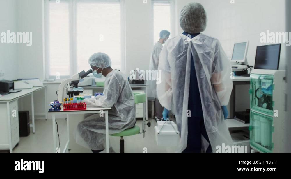 A team of laboratory technicians work in a modern, wellequipped