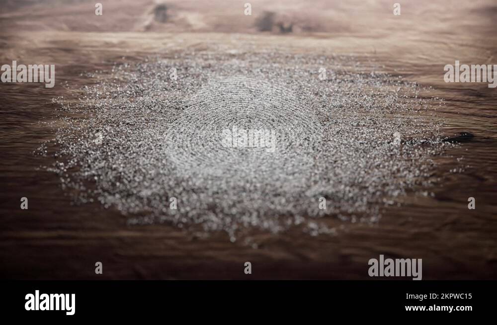 Police dusting powder being swept away revealing clean fingerprint on a wood. 4K Stock Video