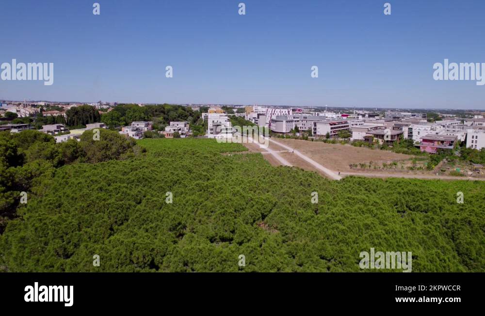apartments of the city Montpellier in France being shown behind some
