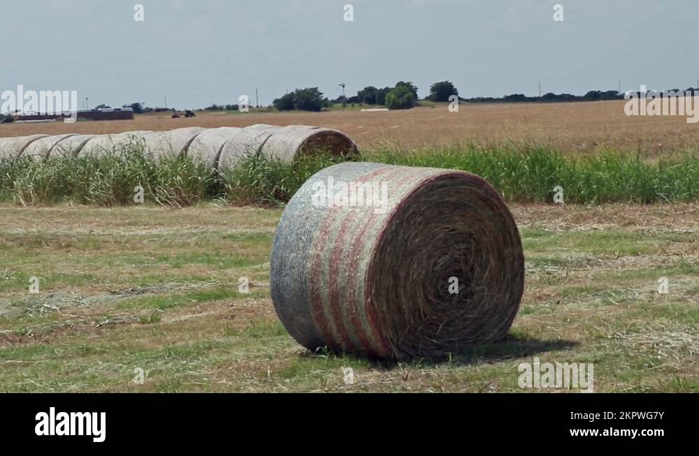 Hay bales on a Texas farm wrapped in American flag bale wrappers Stock