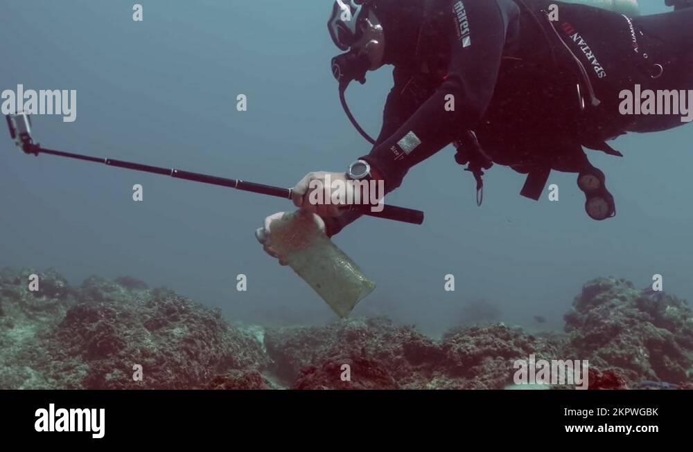 Scuba diver holding underwater camera Stock Videos & Footage HD and