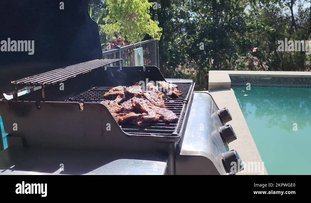 Hot weather bbq Stock Videos & Footage HD and 4K Video Clips Alamy