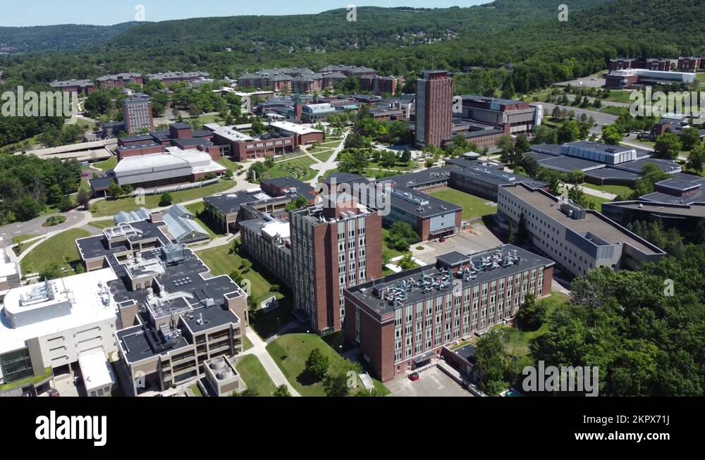 Remotestudying Stock Videos & Footage HD and 4K Video Clips Alamy