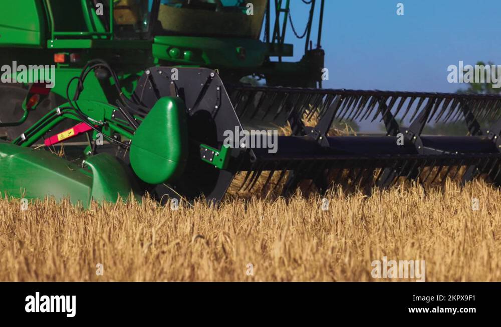 John Deere harvester works in the field. Combine Harvesting Wheat, slow
