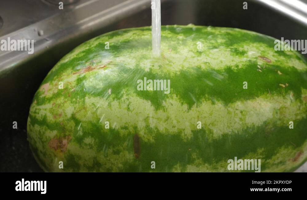 Whole watermelon with water splashing Stock Videos & Footage HD and