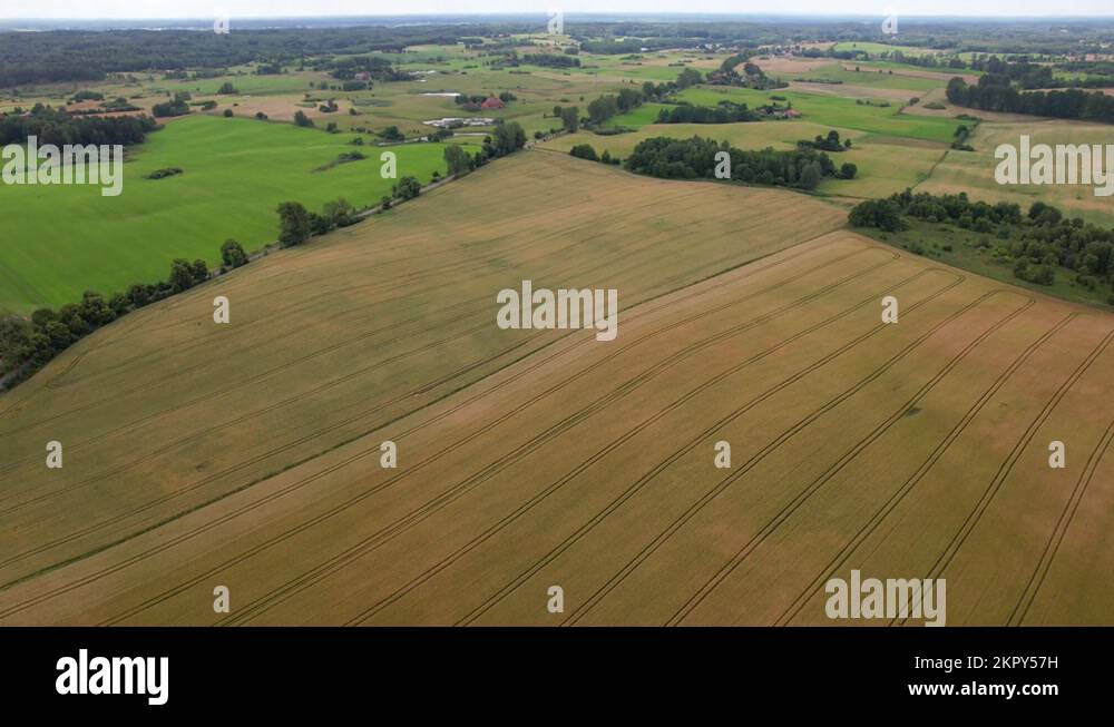 Poland Farms, Rural Scenery Farmland Summer. European House Farm Into