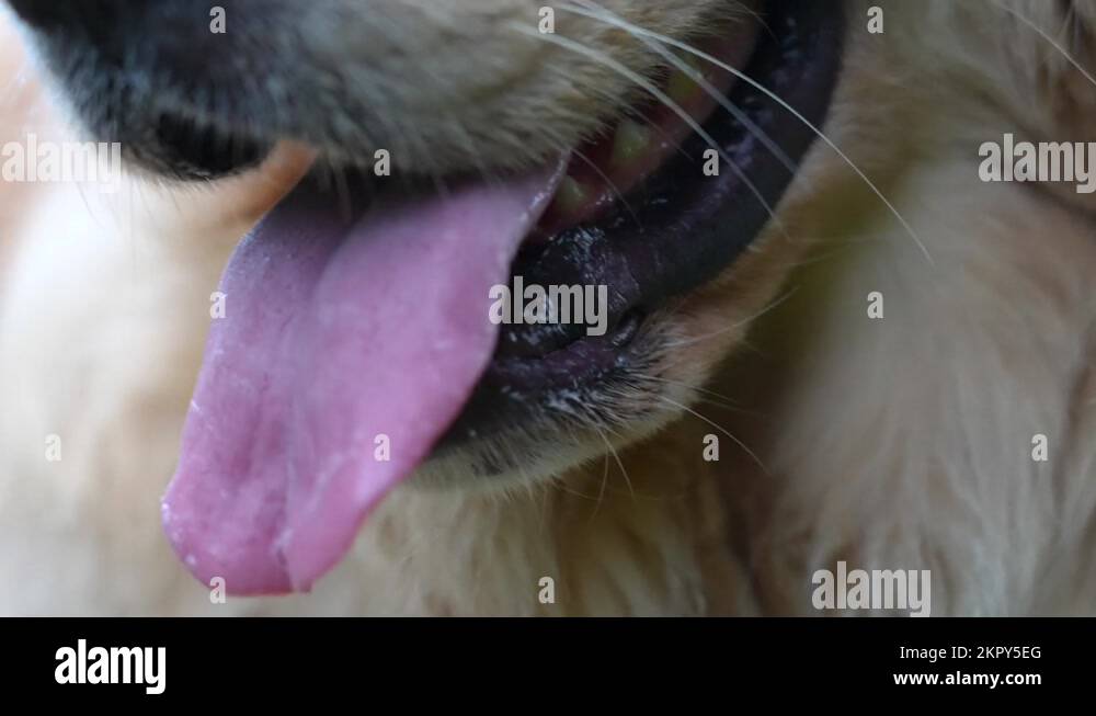 Extreme Definition Stock Videos Footage HD And 4K Video Clips Alamy Extreme Definition Stock Videos Footage HD And 4K Video Clips Alamy
