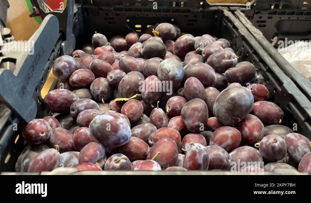 Plumfruits Stock Videos & Footage HD and 4K Video Clips Alamy