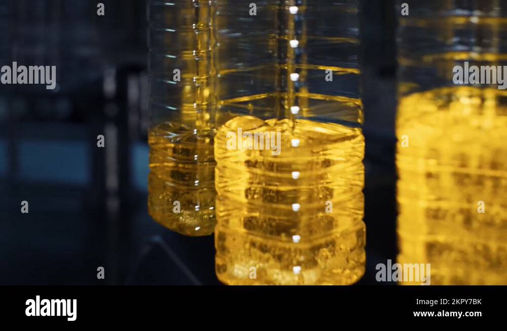Oil filling plants. Process of sunflower oil production in the factory
