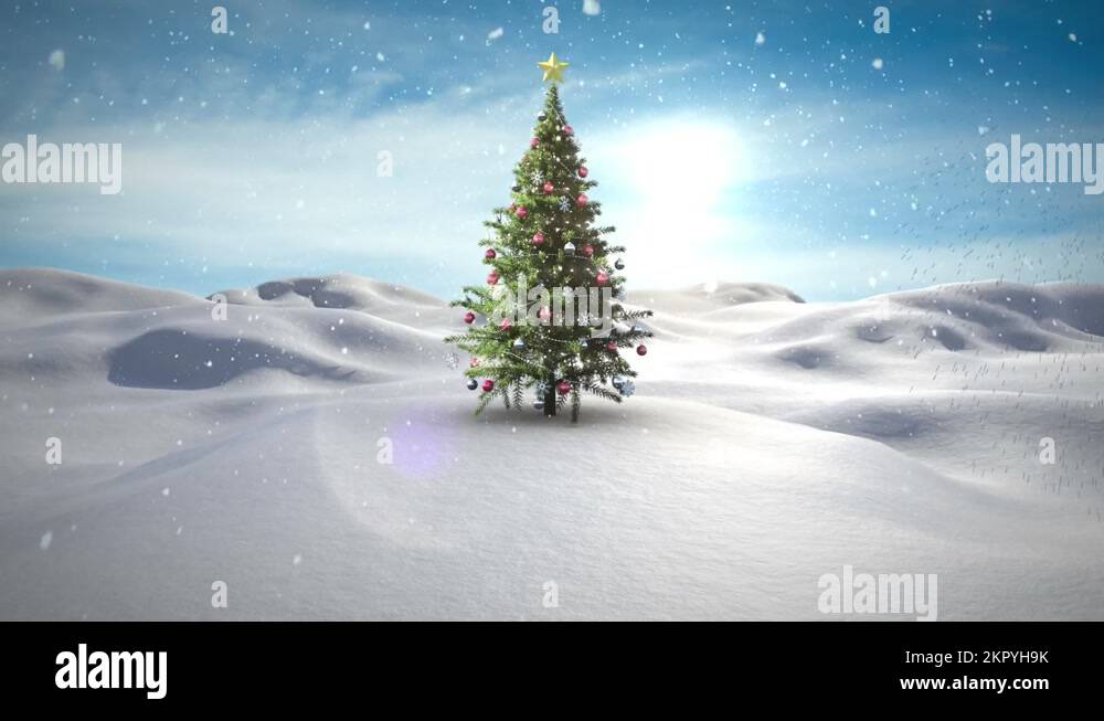 Christmas tree falling over Stock Videos & Footage HD and 4K Video Clips Alamy