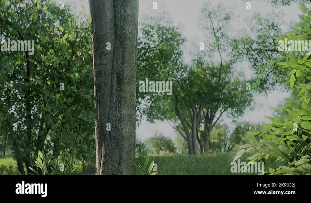 Beam park Stock Videos & Footage HD and 4K Video Clips Alamy