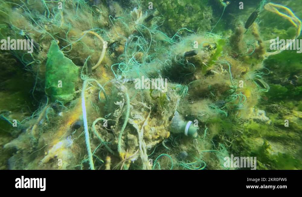 Fishing gear pollution Stock Videos & Footage HD and 4K Video Clips