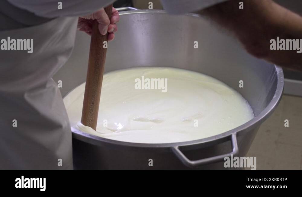 Manufacture Production and Making Process of Mozzarella Cheese, Worker