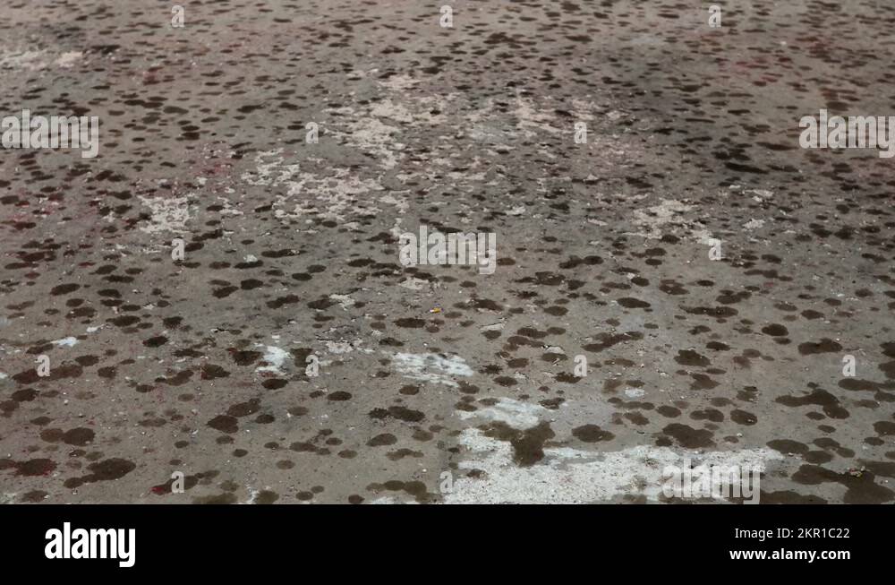 rain drops increase in intensity on the concrete surface during a