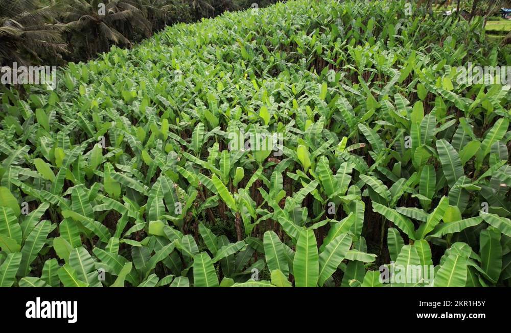 Smooth slope Stock Videos & Footage - HD and 4K Video Clips - Alamy