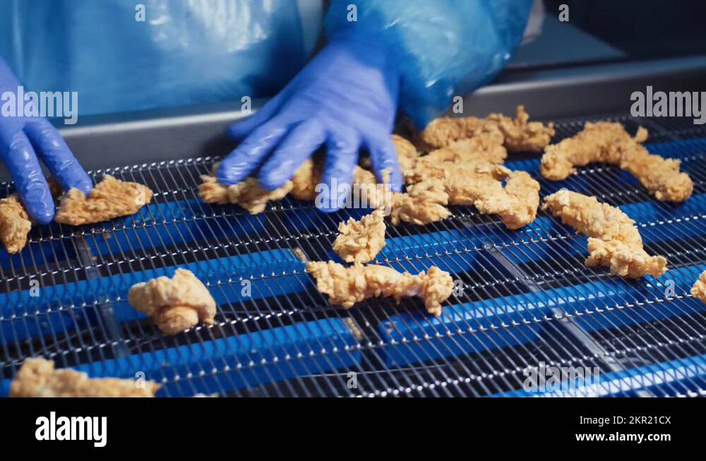 Poultry processing Stock Videos & Footage HD and 4K Video Clips Alamy