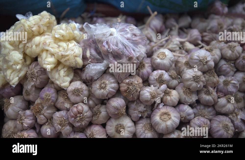 Heads in a row Stock Videos & Footage HD and 4K Video Clips Alamy