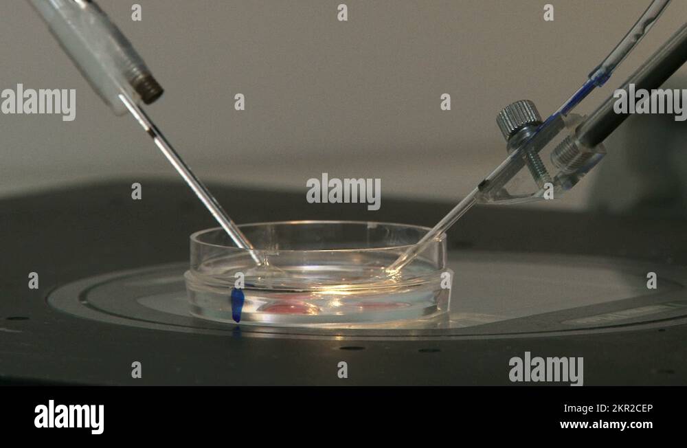 manipulation Stock Videos & Footage HD and 4K Video Clips Alamy