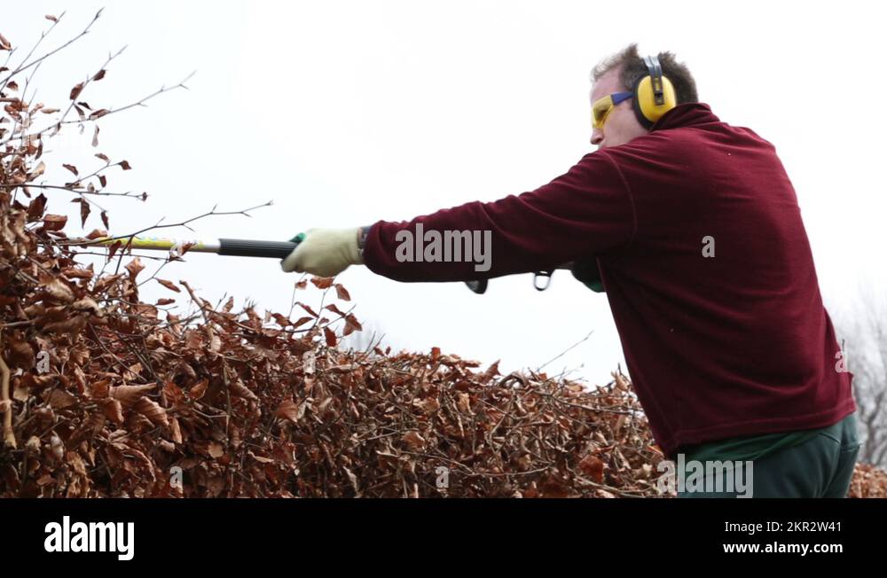 Man trimming the hedge Stock Videos & Footage - HD and 4K Video Clips ...