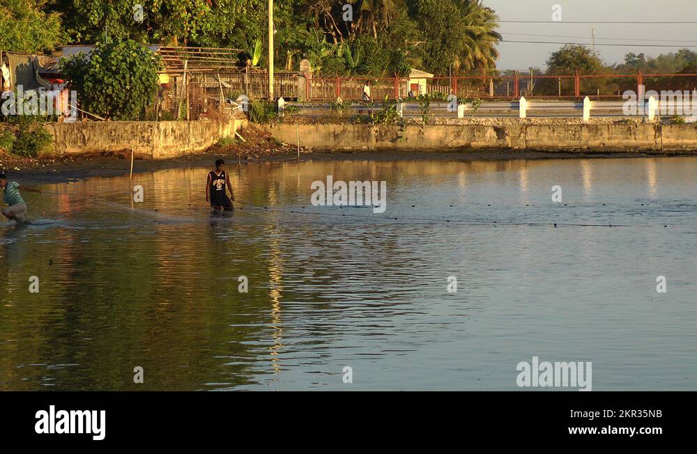 Harvesting Milkfish on a Fish farm on Panay island in the Philippines