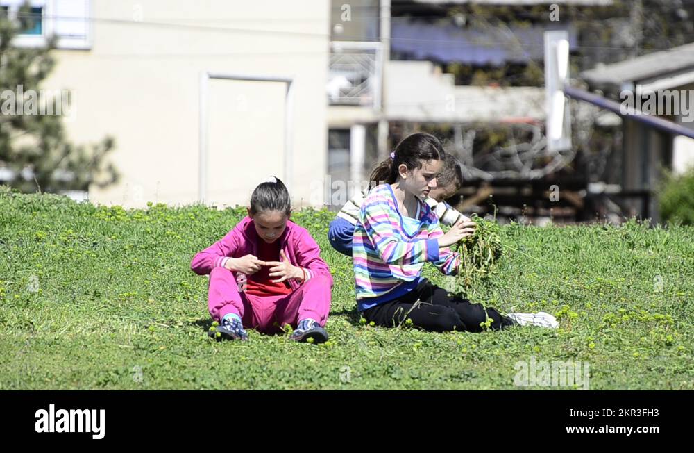Hispanic children playing mexico Stock Videos & Footage - HD and 4K