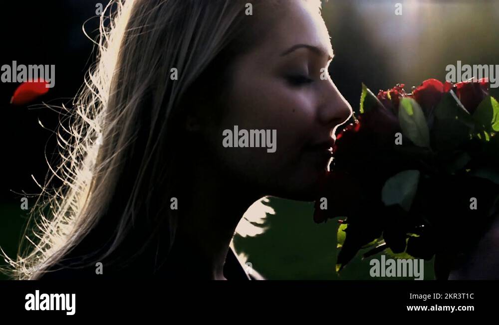 woman smelling on red roses sun flare shot in slow motion Stock Video ...