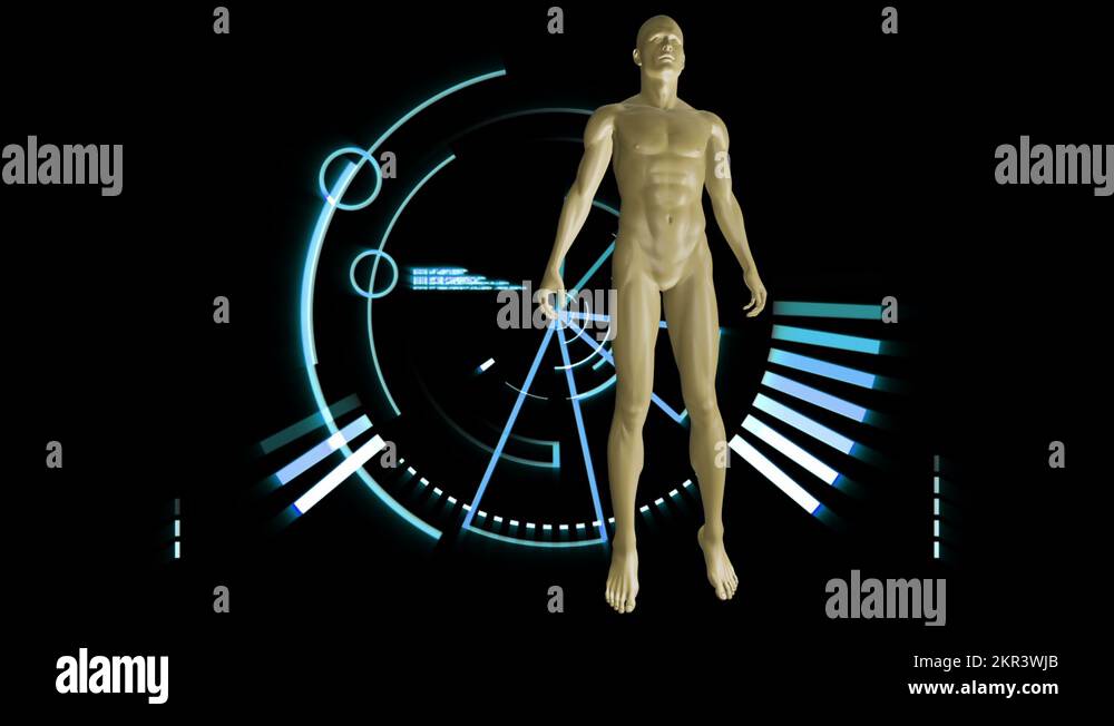 Human organs diagram Stock Videos & Footage Biology Diagrams