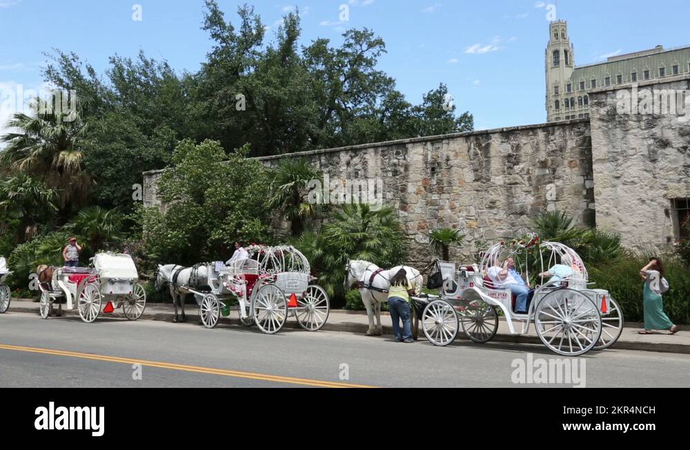 row of horse and carriages at san antonio, texas, usa Stock Video