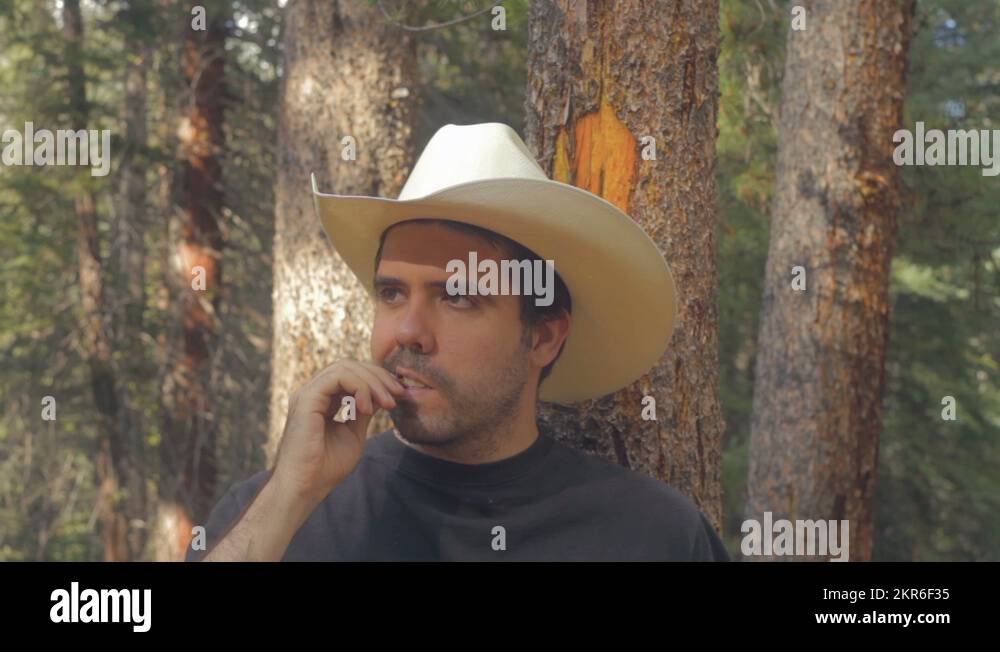 Jerky meat Stock Videos & Footage HD and 4K Video Clips Alamy