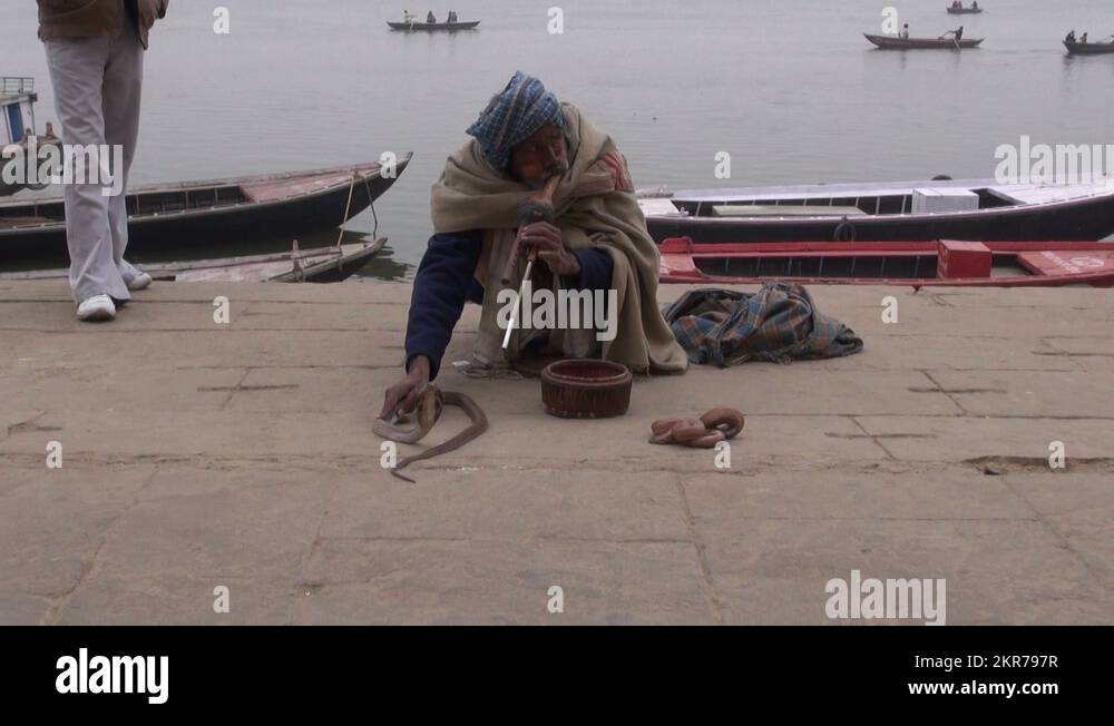 Snake charmer cobra varanasi india Stock Videos & Footage HD and 4K