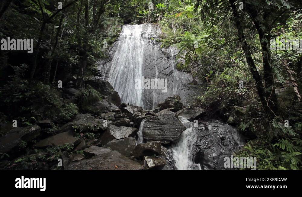 Puerto rico el yunque national - Waterfall Jungle El Yunque National Park Rainforest Puerto Rico Hd 2kr9daw 