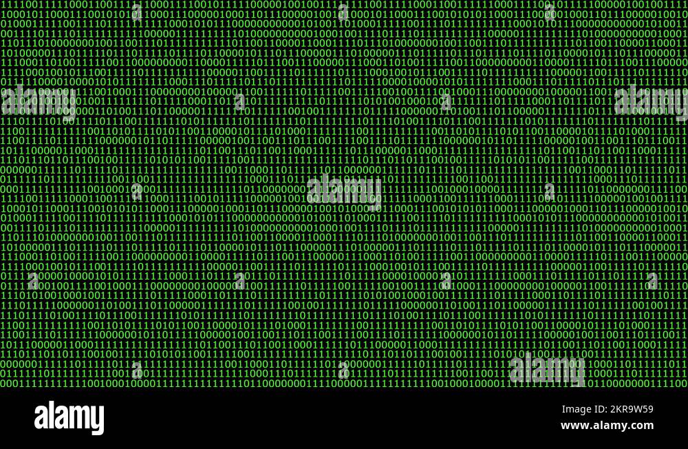 Dense wall Stock Videos & Footage - HD and 4K Video Clips - Alamy