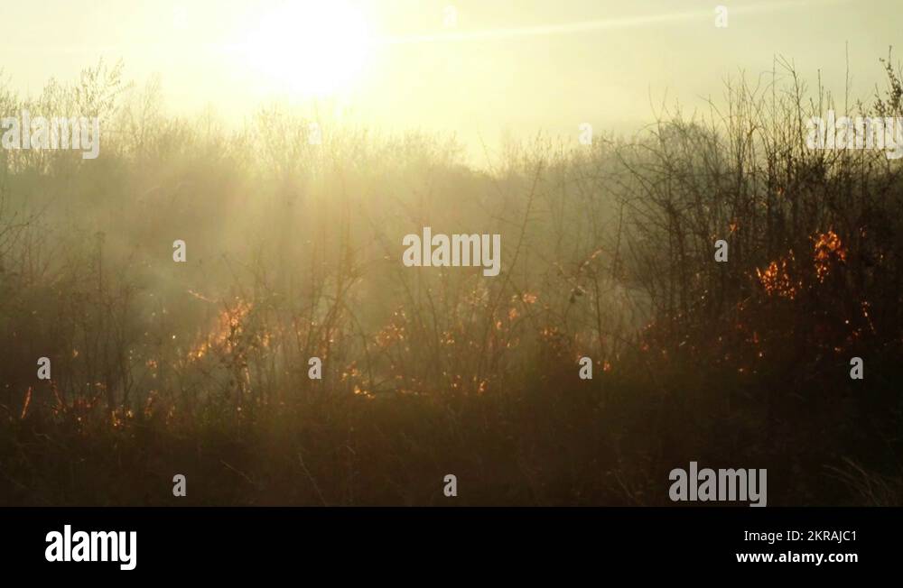 Desert burning Stock Videos & Footage HD and 4K Video Clips Alamy