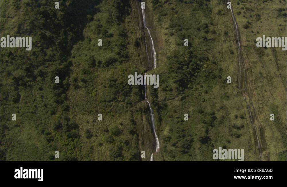 Trees and cliff Stock Videos & Footage HD and 4K Video Clips Alamy