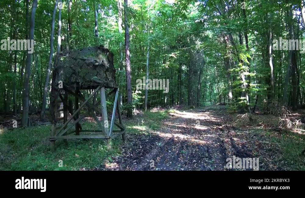 Wood hunter seat Stock Videos & Footage HD and 4K Video Clips Alamy