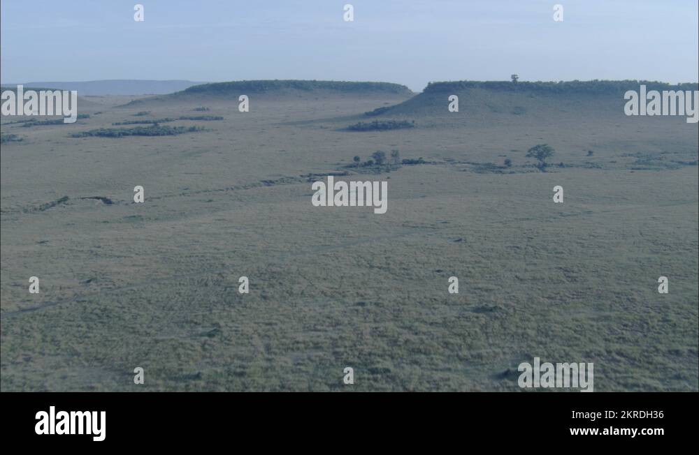 Eastern Africas Grasslands Decoded In Just 7 Words - dknb08r